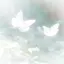 ひのプロフィール画像
