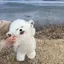 Sのプロフィール画像
