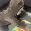 みくのプロフィール画像