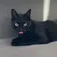 こんぶのプロフィール画像