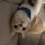 鈴のプロフィール画像