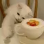 Sのプロフィール画像