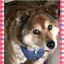 kentwonのプロフィール画像