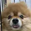 るかちのプロフィール画像