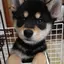 桃果のプロフィール画像