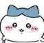 まろのプロフィール画像