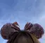 みゆざえもんのプロフィール画像
