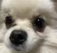 まなのプロフィール画像