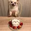 misakoのプロフィール画像