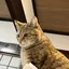 herのプロフィール画像