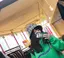 ちゃんみのプロフィール画像