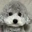 🐻のプロフィール画像