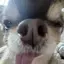 ふたばのプロフィール画像