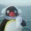 くものプロフィール画像