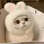 にゃーすのプロフィール画像
