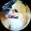 ✨ちぃ✨のプロフィール画像