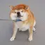 ぽりんのプロフィール画像