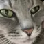 みちゃんのプロフィール画像