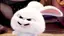 ひめのプロフィール画像