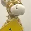 Ichigoのプロフィール画像