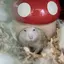 ＾＾のプロフィール画像