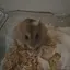 あーちゃんのプロフィール画像