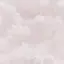 Rのプロフィール画像