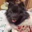 ちぃのプロフィール画像