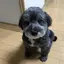 ムックのプロフィール画像