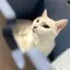 ナナカのプロフィール画像