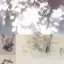 マエダのプロフィール画像