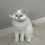 Mのプロフィール画像
