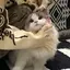 こばやしのプロフィール画像