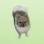 かなのプロフィール画像