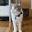 ゆりこのプロフィール画像
