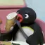 シャのプロフィール画像