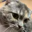 mのプロフィール画像