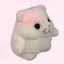 珠珠のプロフィール画像