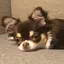 はるのプロフィール画像