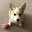 NNNのプロフィール画像
