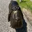 フェーダーのプロフィール画像