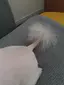 ひこのプロフィール画像