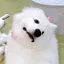 けーのプロフィール画像
