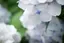 むーみんのプロフィール画像