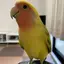 のぞみのプロフィール画像