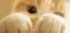 なぁのプロフィール画像