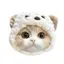 んちゅのプロフィール画像