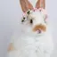ゆめのプロフィール画像
