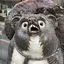 つのプロフィール画像