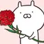 しらたまのプロフィール画像